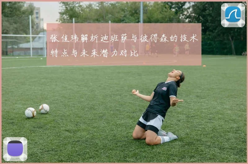 张佳玮解析迪班萨与彼得森的技术特点与未来潜力对比